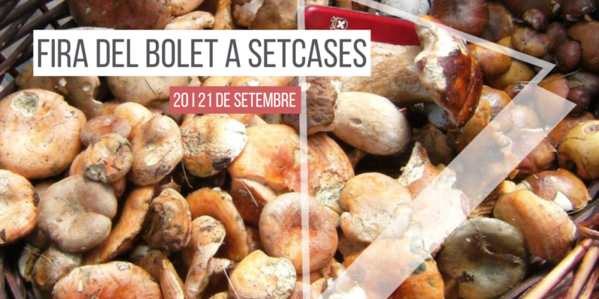 fira-del-bolet-a-setcases