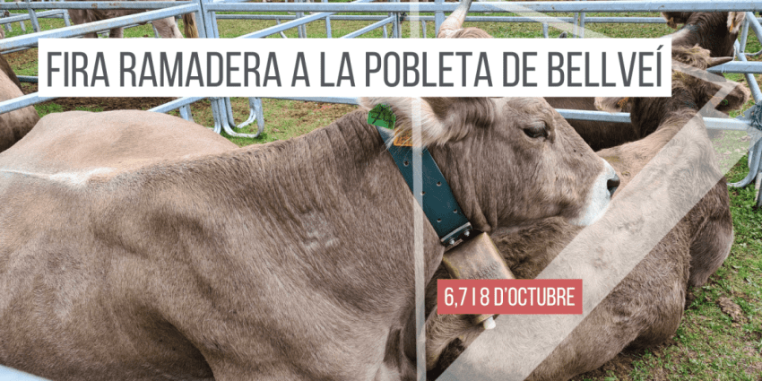 fira-ramadera-a-la-pobleta-de-bellvei