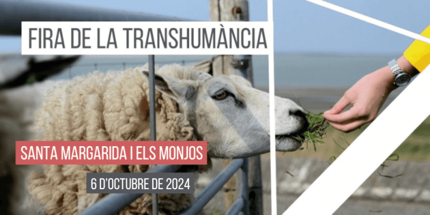 fira-transhumancia-santa-margarida-i-els-monjos