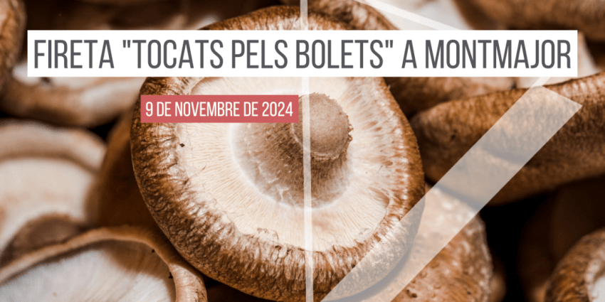 fireta-tocats-pels-bolets-montmajor