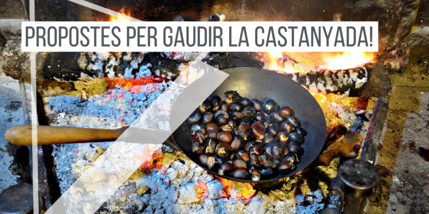 propostes-castanyada-catalunya