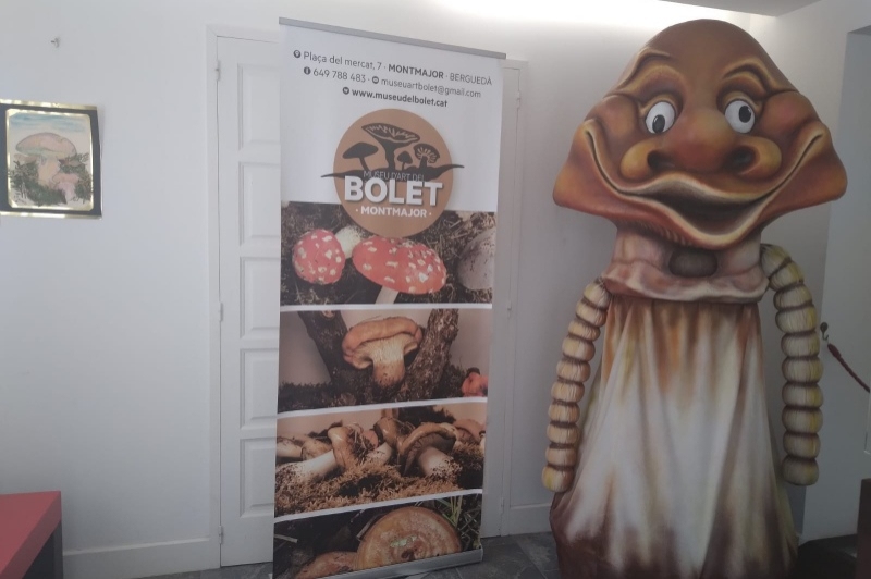 Museu d'art del Bolet (Museu Del Bloet Montmajor)