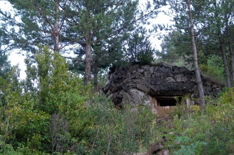 Parc dels Búnquers de Martinet i Montellà (Entrada 2)