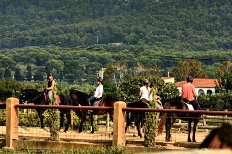 Hípica Mas Paguina i Turisme Rural (Activitat)