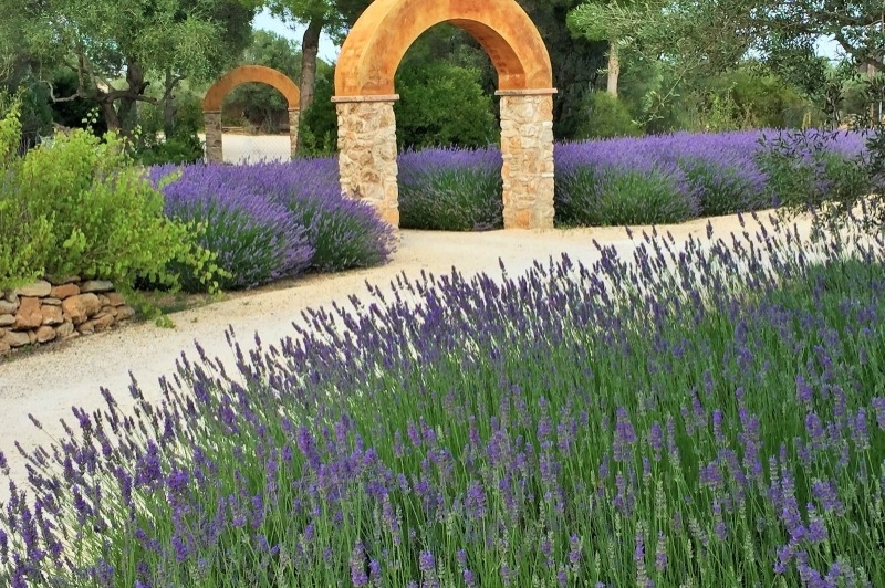 Jardí Botànic Medicinal, Ecoherbes Park (Jardi)