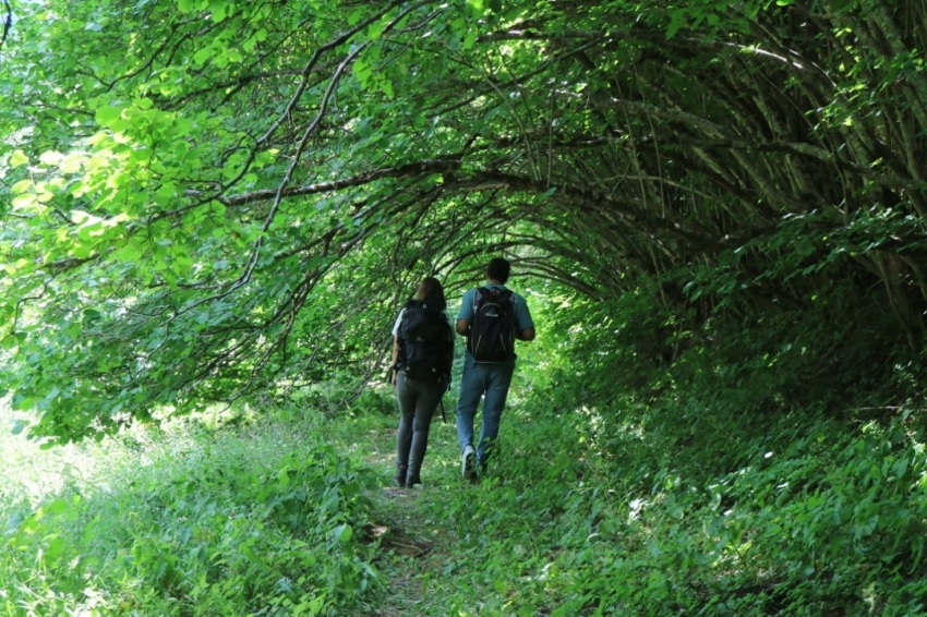Banys de bosc Be Forest (EForest)