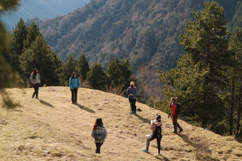 Banys de bosc Be Forest (7BeForest)