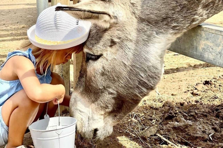 La Mascota i el Jardí