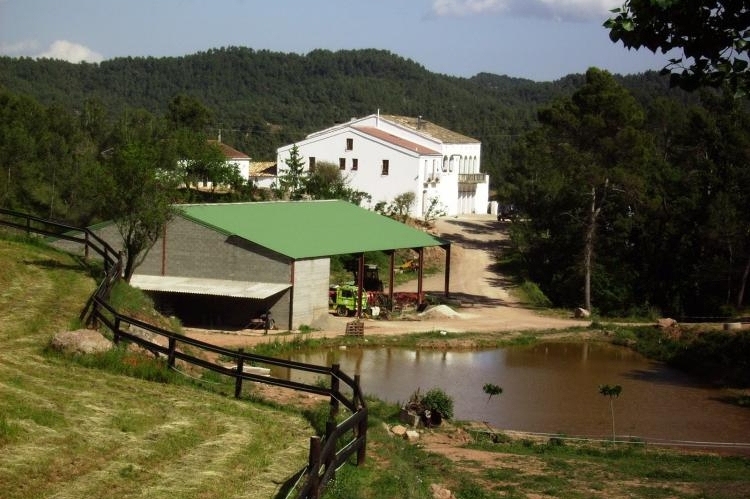 Masia Mas Set-Rengs (Masia Mas Set Rengs)