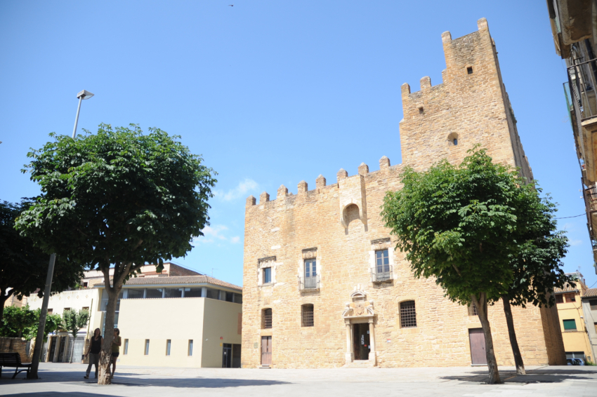 Castell Palau de la Bisbal dEmpordà (Castell Palau)