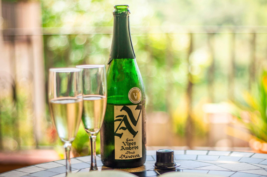 Celler Vives Ambrós (Celler Vives Ambros)