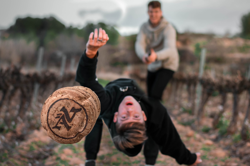 Celler Vives Ambrós (Celler Vives Ambros)