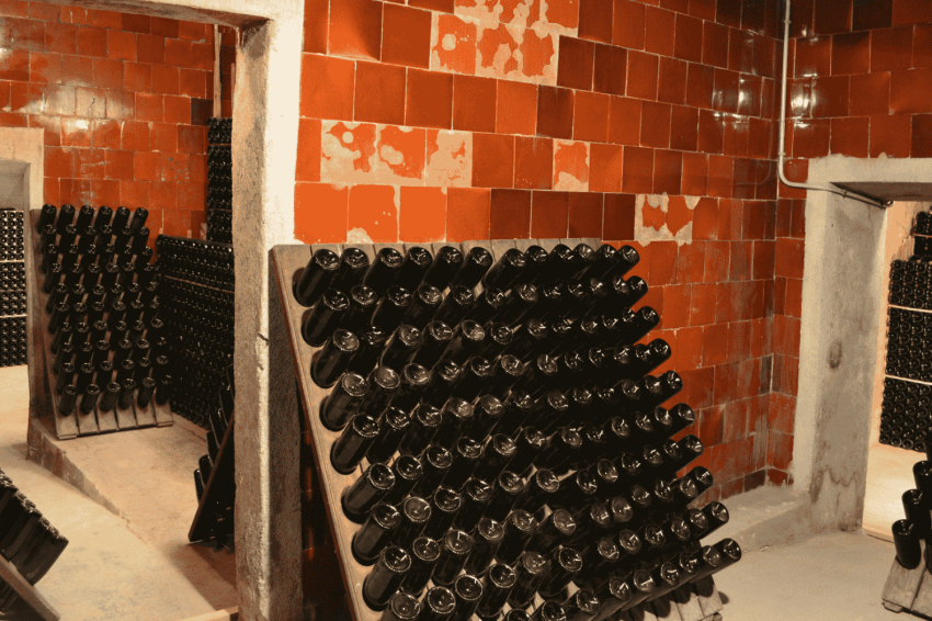 Celler Vives Ambrós (Celler Vives Ambros)