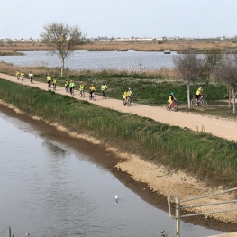 Lloguer de bicicletes 4 camins