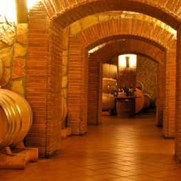 Enoturisme Celler Piñol