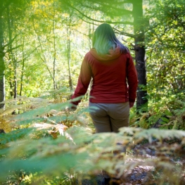 Banys de bosc Be Forest