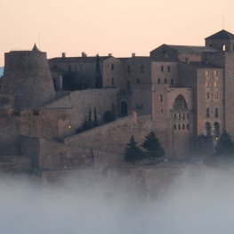 Castell de Cardona