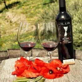 Celler Devinssi