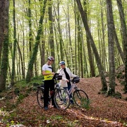 Centre Logístic de Bicicletes