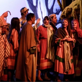 Els Pastorets de l'Ametlla de Merola