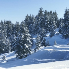 Estació d'Esquí Tuixent - La Vansa