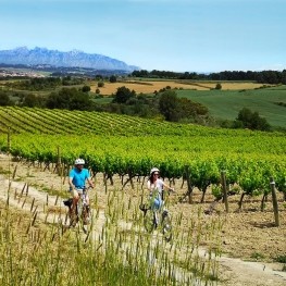 Bikemotions, enoturisme al Penedès