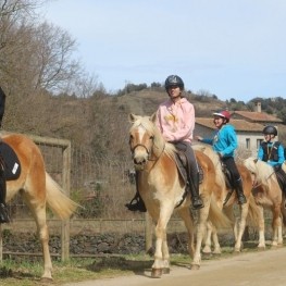 Granja de cavalls i ponis, eQuillet