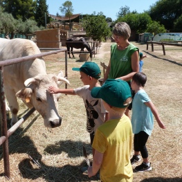 Granja Escola Corral de Neri