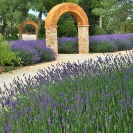 Jardí Botànic Medicinal, Ecoherbes Park