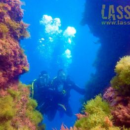 Lassdive