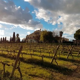 L'Orangerie de Clos Barenys