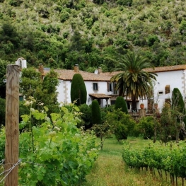 Finca Bell-Lloc (Celler Brugarol)
