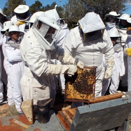 Muria, Centre d'Interpretació Apícola