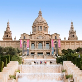 Museu d'Art Nacional de Catalunya