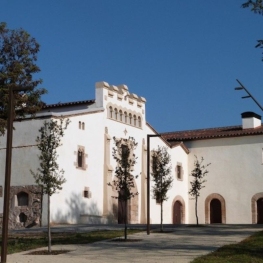 Museu Internacional dels Titelles de Catalunya, Masia Can Falguera