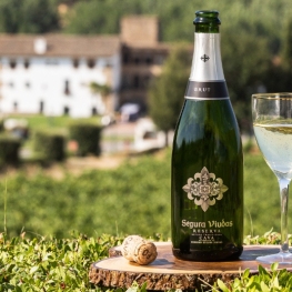 Celler Segura Viudas