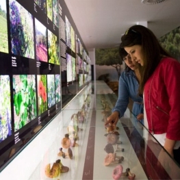 Descubriendo los museos de la provincia de Tarragona