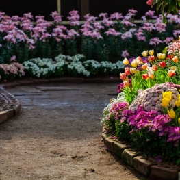 Walk through the 'Viles Florides' of Catalonia!