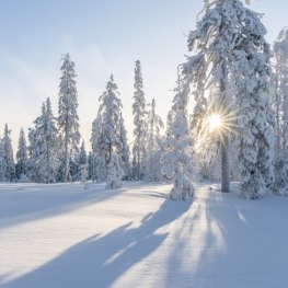 Profitez de la neige avec vos cinq sens!