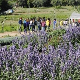 Balade entre couleurs et nature dans les Parcs des odeurs de&#8230;