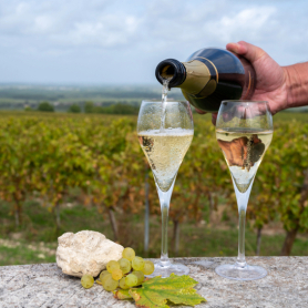 Cavatast 2025 in Sant Sadurní d'Anoia: Cava, music and tradition