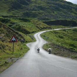 D'Édimbourg aux Highlands: un itinéraire complet à travers&#8230;