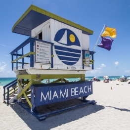 Discover cheap flights to Miami and live an unforgettable vacation!