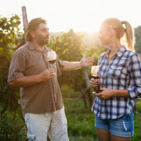 Disfruta de la vendimia en las mejores bodegas de Cataluña