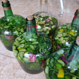 The art and recipe of ratafia: tradition, flavor, and nature&#8230;