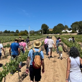 La Primavera del Cava retorna al maig amb 16 activitats entre&#8230;