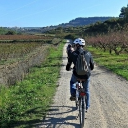 Sorteo: Gana una visita en bicicleta y una cata de vinos
