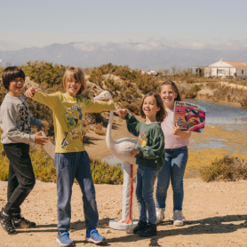 Raffle: Win a ticket for 5 people for the Flamenco Mission at&#8230;