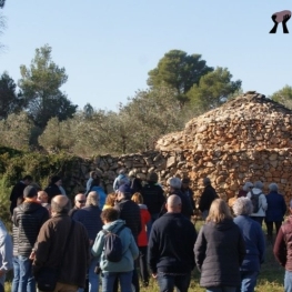 Immerse yourself in Dry Stone Week this 2023!