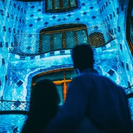 A Christmas of Light and Sound Awaits you at Casa Batlló! Attend&#8230;